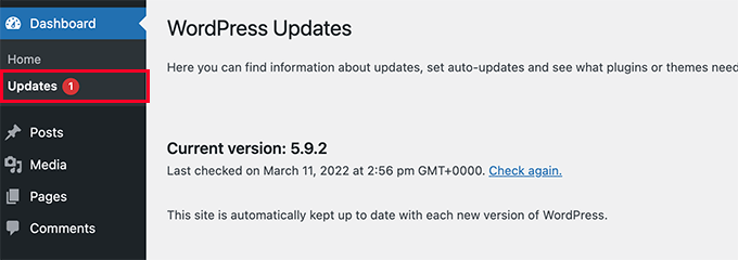 Install WordPress updates Install WordPress updates