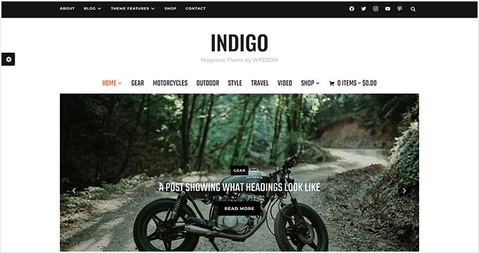 Indigo Indigo