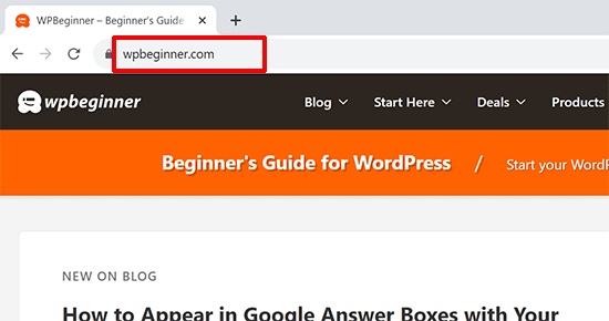 Domain name entered into a browser address bar. Domain name entered into a browser address bar.