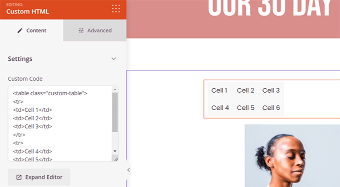 Custom HTML block preview Custom HTML block preview
