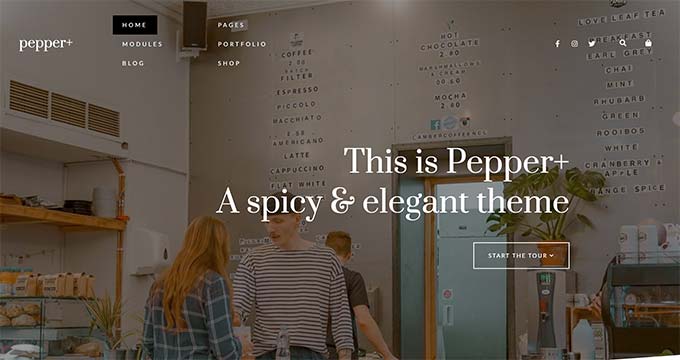 Pepper plus Pepper plus