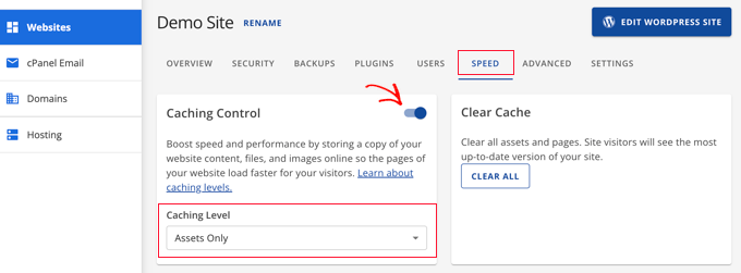 Bluehost caching levels Bluehost caching levels