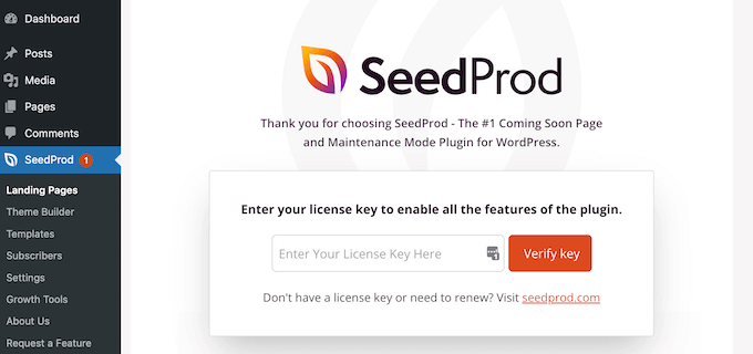 SeedProd license key SeedProd license key