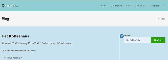 Website preview for multilingual search
