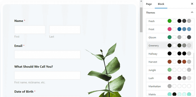 How to Easily Integrate Zoom Meetings & Webinars in WordPress WPForms form themes