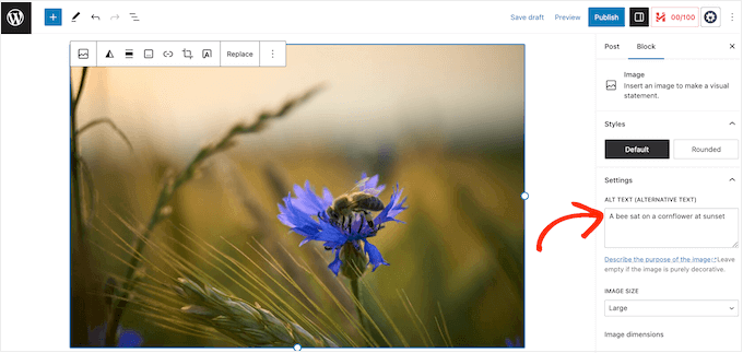 Adding alt text to a WordPress image Adding alt text to a WordPress image