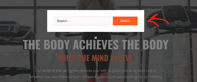 An example of a modal search form on a WordPress blog, website, or online store An example of a modal search form on a WordPress blog, website, or online store