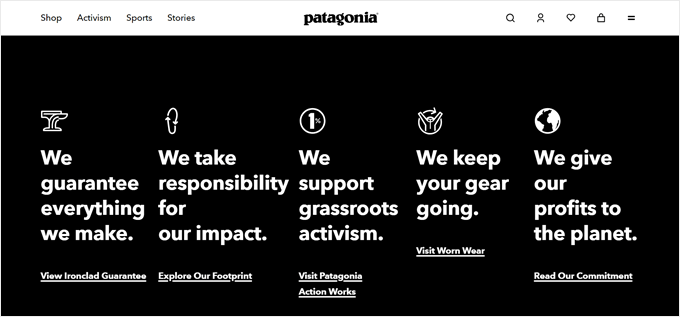 allow-untranslated-products-to-be-viewed Patagonia's actions on sustainability
