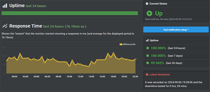 Rocket.net uptime test